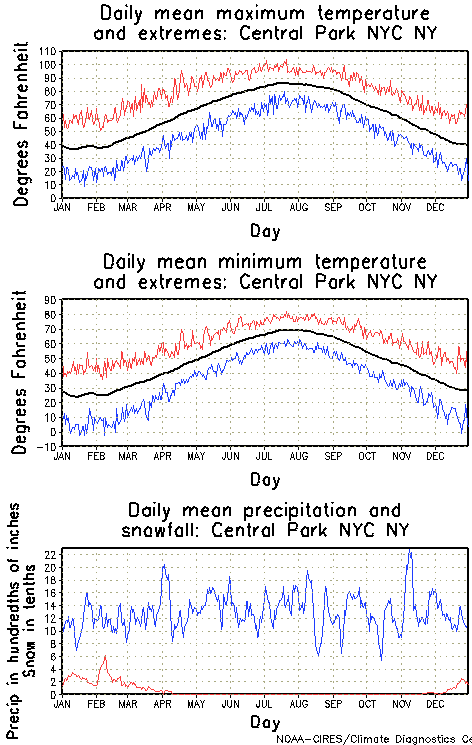 Central Park New York Annual Temperature Graph